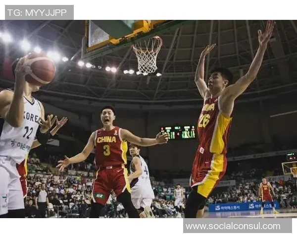 辽宁男篮与江苏男篮全运会激战正酣精彩瞬间回顾与分析